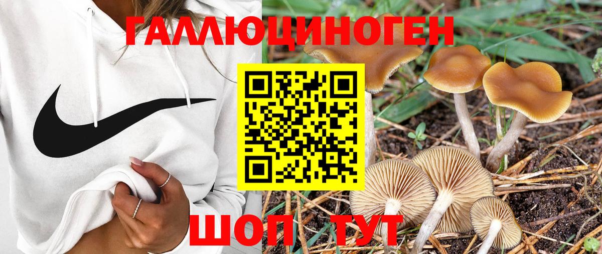 купить   Галлюциногенные грибы Magic Shrooms  Вход с VPN  Галлюциногенные грибы GOLDEN TEACHER  Чайковский 