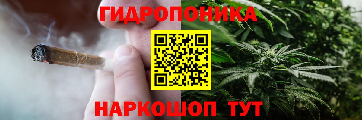 Бошки Шишки гибрид Чайковский